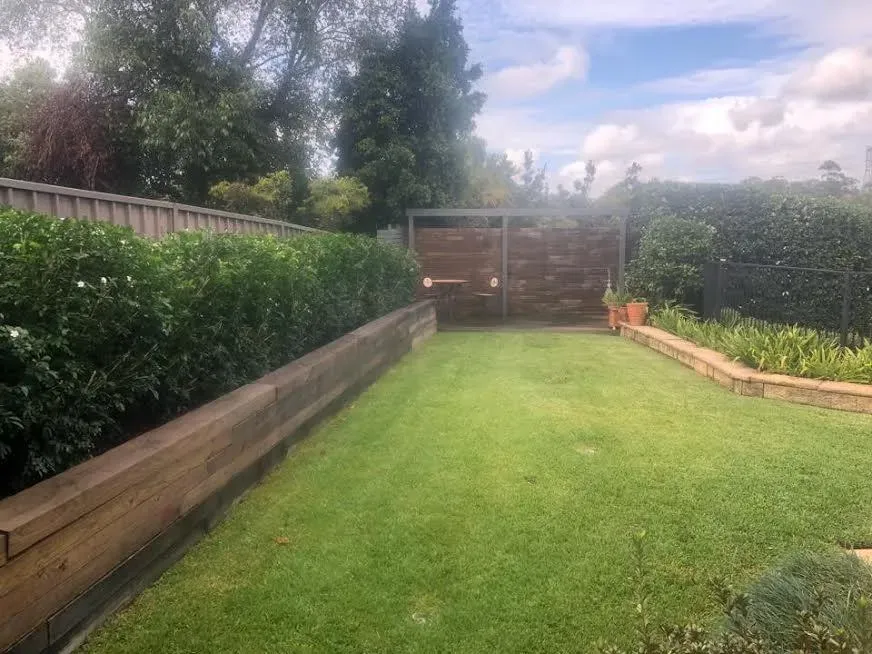 Backyard tidied up with a mowed lawn and clipped hedge along a sleeper bed