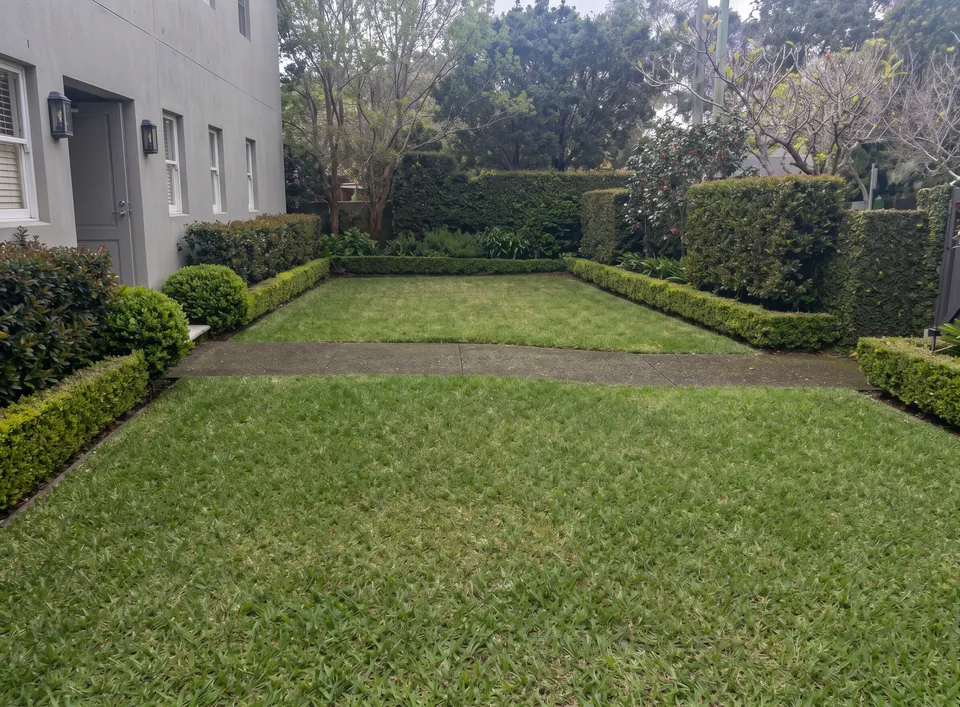 Formal lawn mowed and edged with clipped box hedges beside a rendered home, Upper North Shore
