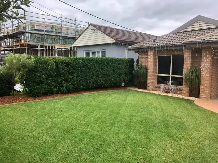 Front lawn mowed with a trimmed hedge and mulched bed beside a brick home in Turramurra